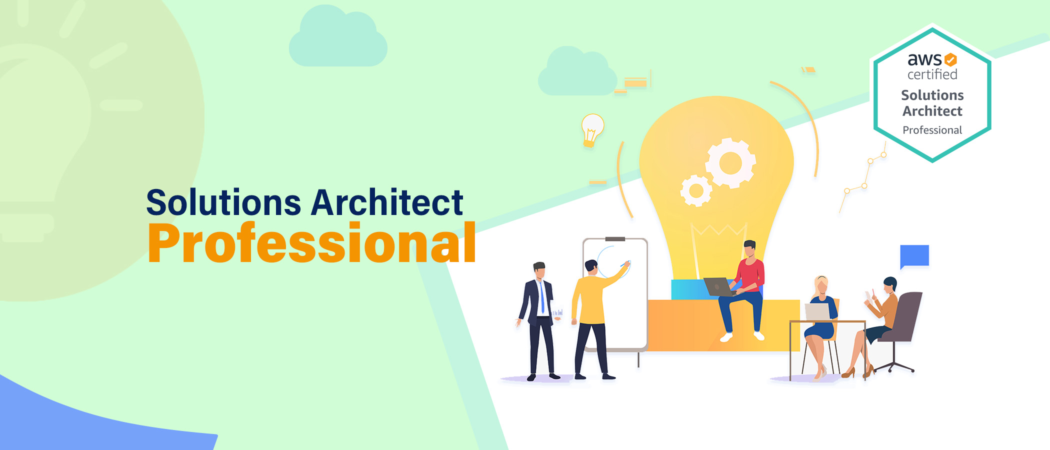 SolutionArchitectProfessional